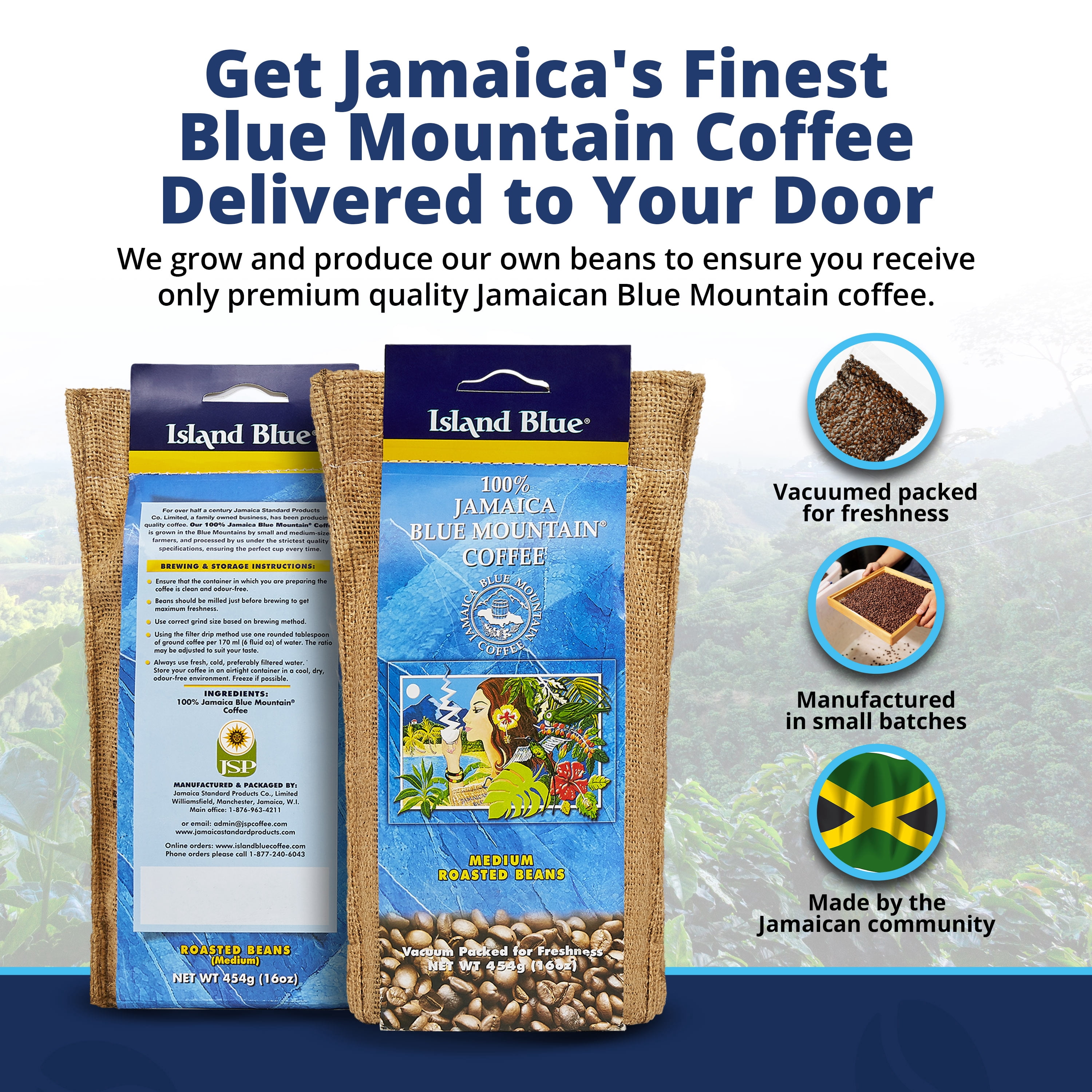 Island Blue Jamaican Blue Mountain Coffee Fresh Roasted Coffee Beans Medium Roast 16oz