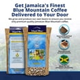 thumbnail image 6 of Island Blue Jamaican Blue Mountain Coffee Fresh Roasted Coffee Beans Medium Roast 16oz, 6 of 8