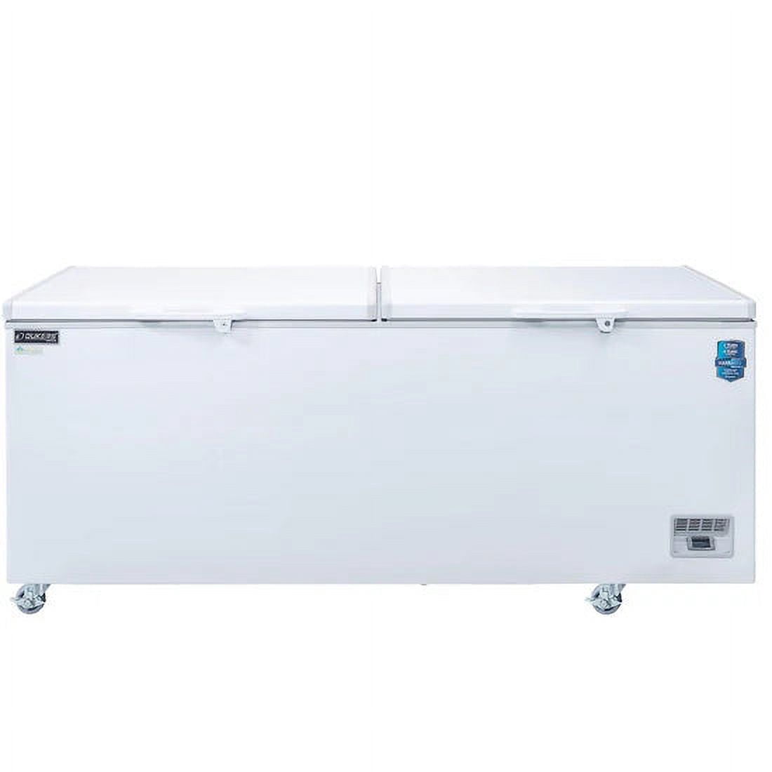 BD/BG-760 Commercial Chest Freezer