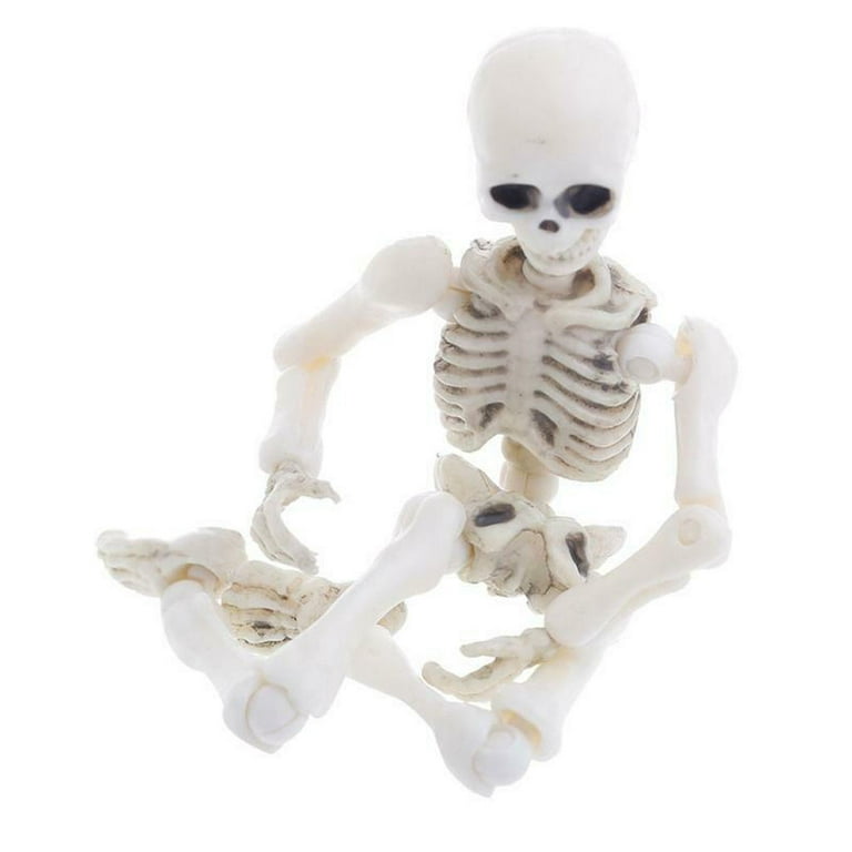 Mummy human skeleton PVC Action Figure Model Toy Gifts Toys For Childr -  Supply Epic