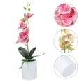thumbnail image 4 of WORGEOUS Tapla de orquídeas de flor de flor artificial decoración de plantas en macetas artificiales, 4 of 8