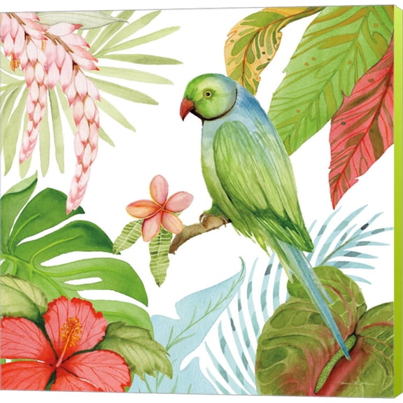 Treasures of the Tropics VII by Kathleen Parr McKenna, Canvas Wall Art
