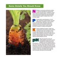 Luster Leaf 1601 Rapitest® Soil Test Kit