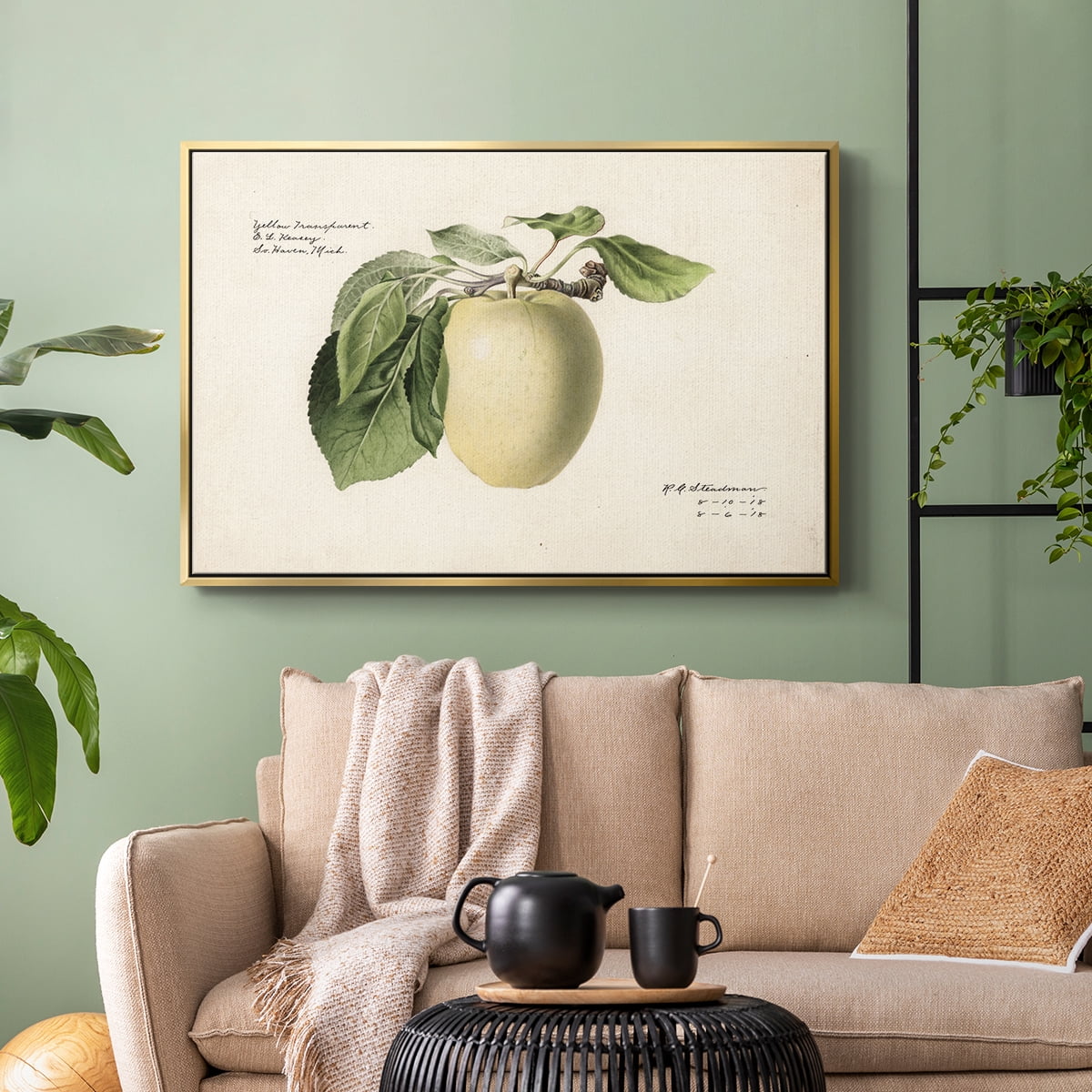 Vintage Botanical Print-XLV By Wexford Home Framed in Gold Wood Gallery Wrapped Canvas 17 in. x 25 in.