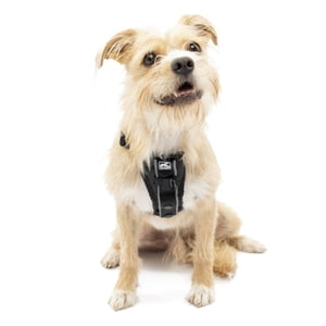 Kurgo Tru-Fit Smart Harness with Car Tether, Small