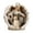 D, variant on XMMSWDLA Pet Memorial Gifts - Dog or Cat Memorial Christmas Angel Photo Ornaments 2024 - Pet Loss Gifts for Dog or Cat - Pet Remembrance Decorative Ornaments for Christmas Tree