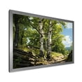 thumbnail image 2 of Designart "Birch Tree Forest Nature's Essence I" Landscapes Framed Wall Art Decor - Country Green Tree Bedroom Framed Canvas Wall Art, 2 of 6