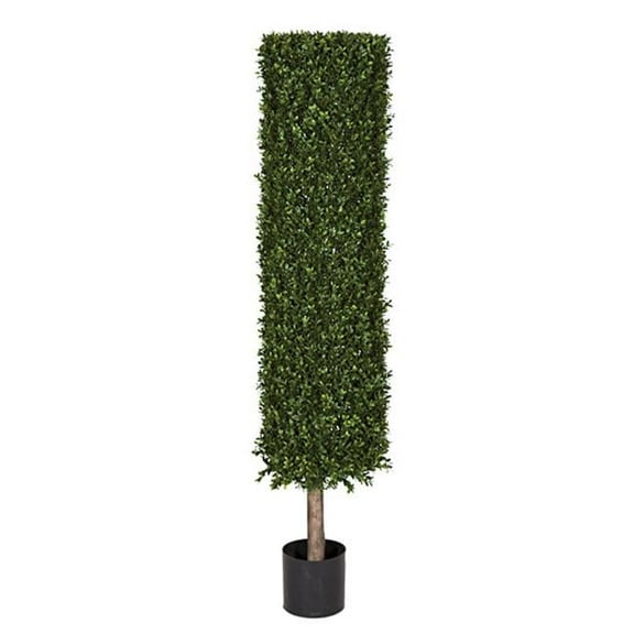 7 ft. Boxwood Cylinder - Green - 7'