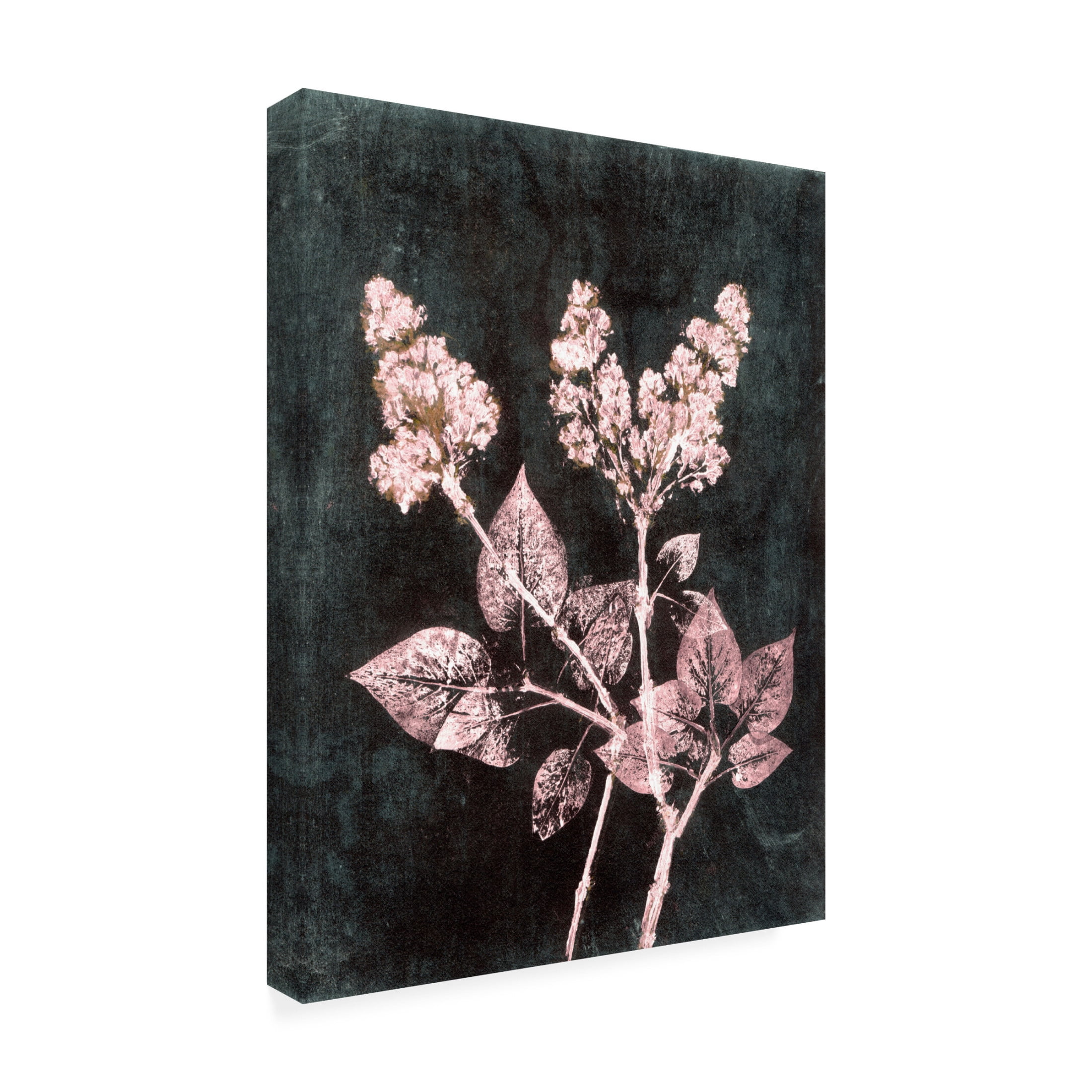 Canvas Wall Art - Pernille Folcarelli 'Lilac 1 Blush Dark Green' Wall Art for Living Room, Bedroom, or Office Décor by Trademark Fine Art - 14 x 19 Inches