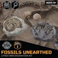 thumbnail image 4 of Discovery™ #Mindblown Fossil Excavation Kit, 4 of 7