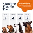 thumbnail image 5 of (6 pack) Veterinary Formula Senior Support Supplement for Dogs, Smart Vitality for Joint, Digestion, and Immune Health, 60 Chews, 5 of 10