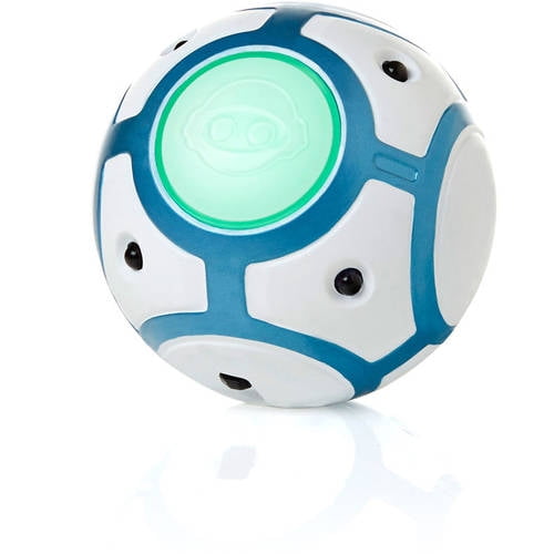 chip robot dog walmart