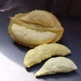 thumbnail image 4 of Bgsha Artificial Fruits Durian Model Simulation Food Early Educational Toy Photo Prop, 4 of 9