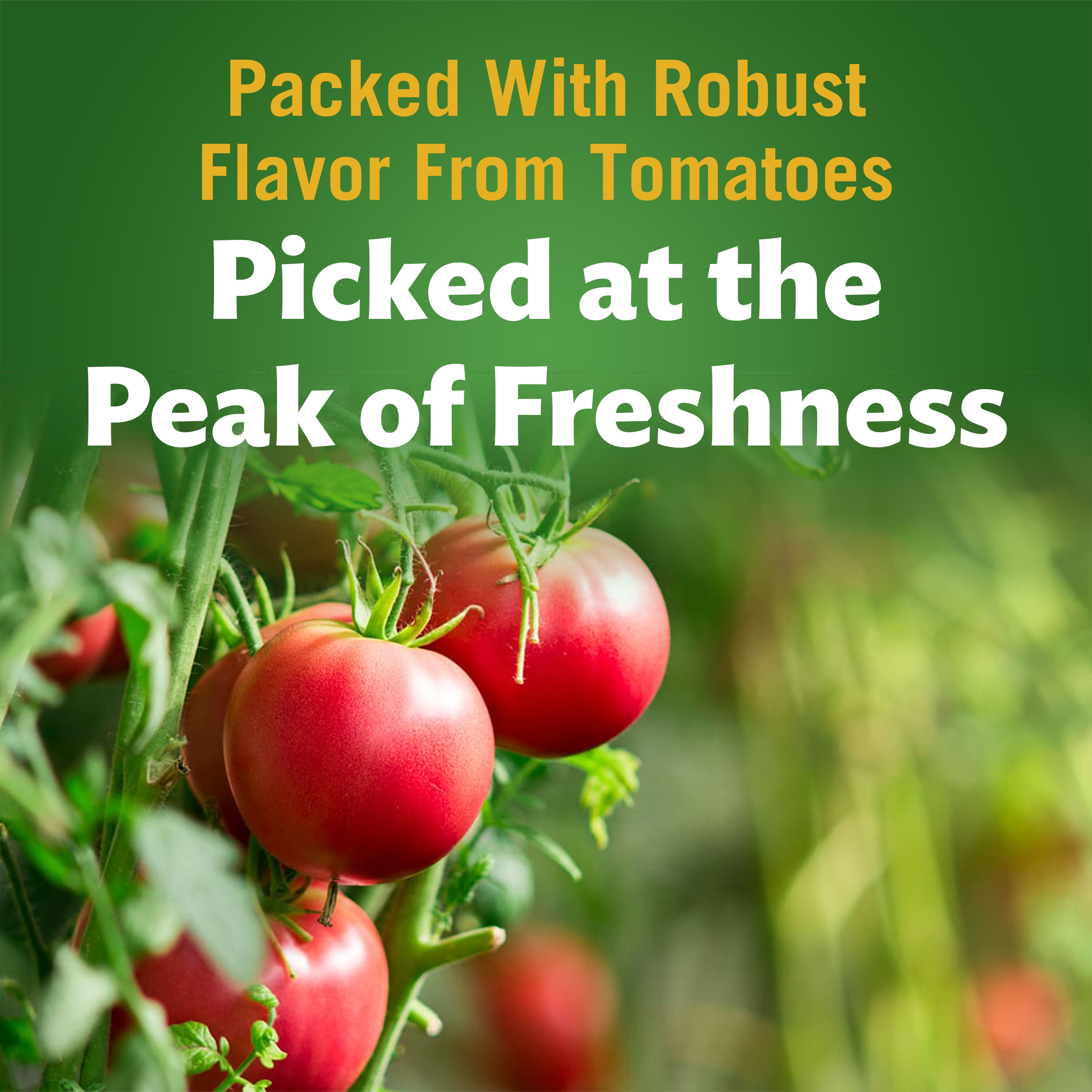 Del Monte Tomato Ketchup, 24 oz, Peanut Free, Shelf Stable, Plastic Bottle