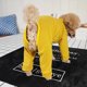 thumbnail image 5 of Ropa para mascotas Pantalones para perros Cuello alto para mascotas con pantalones de algodón MFZFUKR BST2000364-1, 5 of 5