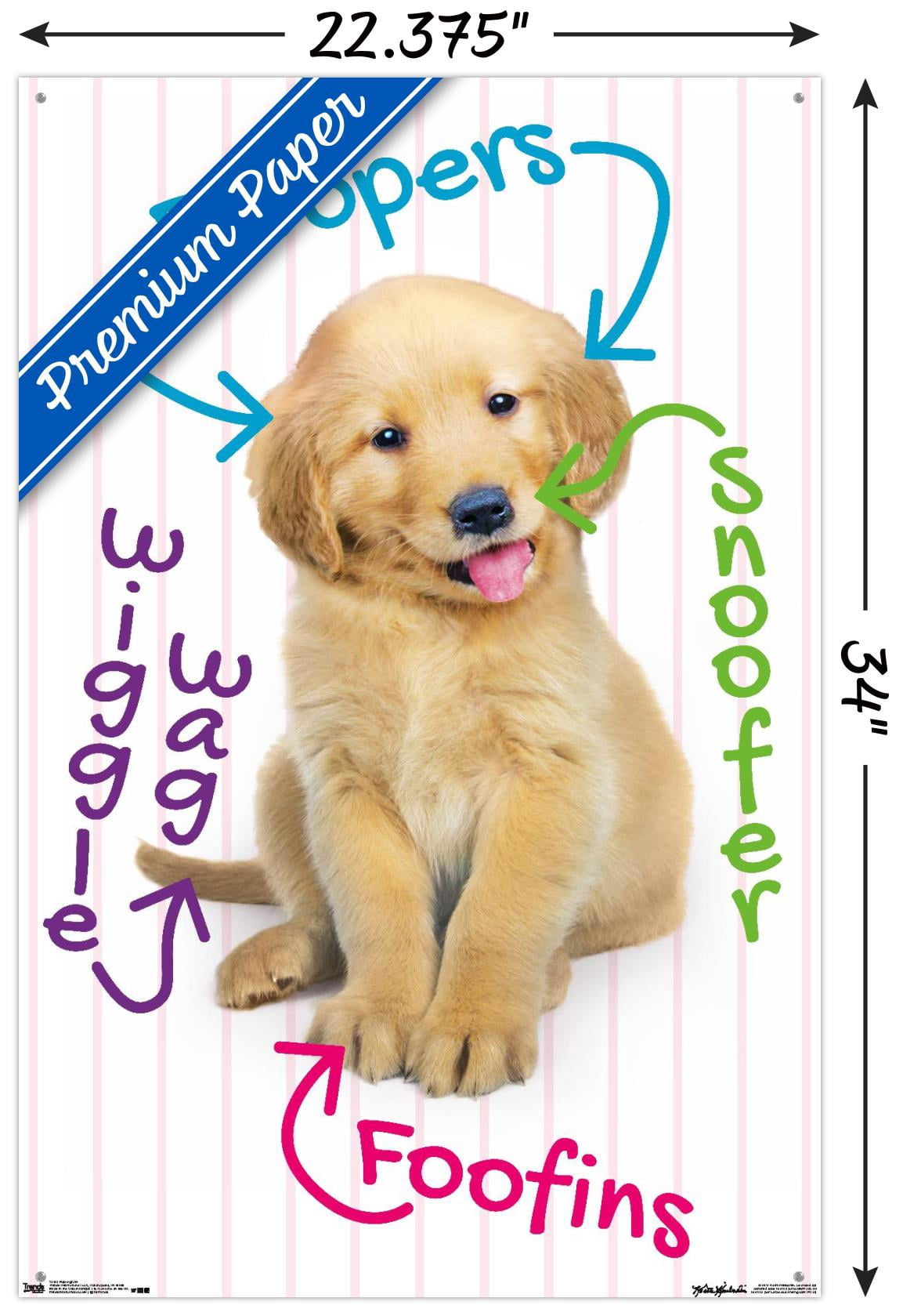 Keith Kimberlin - Puppy - Pup-A-Gram Wall Poster with Push Pins, 22.375" x 34"