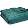 thumbnail image 2 of PUFF Down Alternative Indoor/Outdoor Water Resistant Blanket, 2 of 3