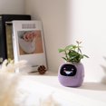thumbnail image 3 of S SERENABLE Smart Pet Planter Robot Cute Plant Robot for Indoor and Outdoor Plant Lovers, 3 of 9