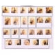 thumbnail image 5 of Jumpingount 5 Unids Insertar Herramientas para el cabello Base para volumen al cabello Clips para peinar DIY Cabeza de princesa Aumento del cabello Cuidado del cabello Jumpingount CE006005-00, 5 of 6
