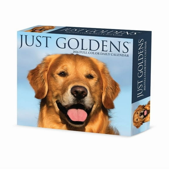 Goldens 2026 Box Calendar, (Paperback)