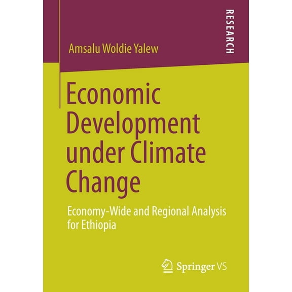 Economic Development Under Climate Change: Economy-Wide and Regional Analysis for Ethiopia, (Paperback)