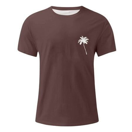 Prdecexlu Mens Casual Shirts Graphic Round Neck Short Sleeve Loose Summer Fashion T-Shirt Brown 4XL