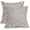 Baby Blue Gray, variant on Vintage Floral Pillow Covers 16x16 Inch Set of 2 Antique Taupe Brown Flower Outdoor Throw Pillows Neutral Traditional Square Cushion Case Decoration for Couch Home Decor