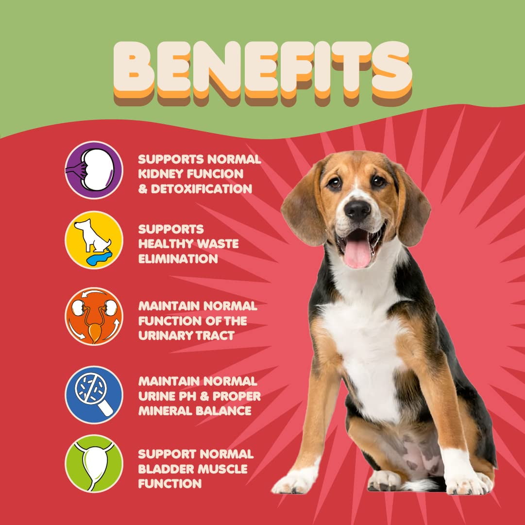 Natural Dog Cranberry Supplement for UTI Treatment Kidney Support. Powdered Dog Supplement Equivalent to Cranberry Pills. Puppy Supplies for Dog Pee Health Incontinence. Walmart