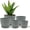 Gray, variant on Campior Plastic Plant Pots with Drainage, Stackable Design for Indoor/Outdoor Use, Pack of 5, Black