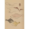 thumbnail image 2 of Masayoshi Kitao 13x18 Gold Ornate Wood Frame and Double Matted Museum Art Print Titled - Choju Ryakugashiki, Pl.44 (1868-1912), 2 of 4