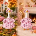 thumbnail image 5 of erdimoy 23 Inch Porch Goose Halloween Dress & Hat 2-Piece Set, Pastel Pink/Purple Ghost Pumpkin Lace Ruffle Outfit, Cute Gothic Statue Costume for Resin Lawn Goose Front Yard Fall Decor, 5 of 6