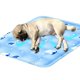 thumbnail image 2 of The Pet Shop Tapete de enfriamiento para perros, tapete de enfriamiento para mascotas activado por presión para perros y gatos, tamaño para mascotas de tamaño mediano (18-39 lb) - Gel no tóx, 2 of 5