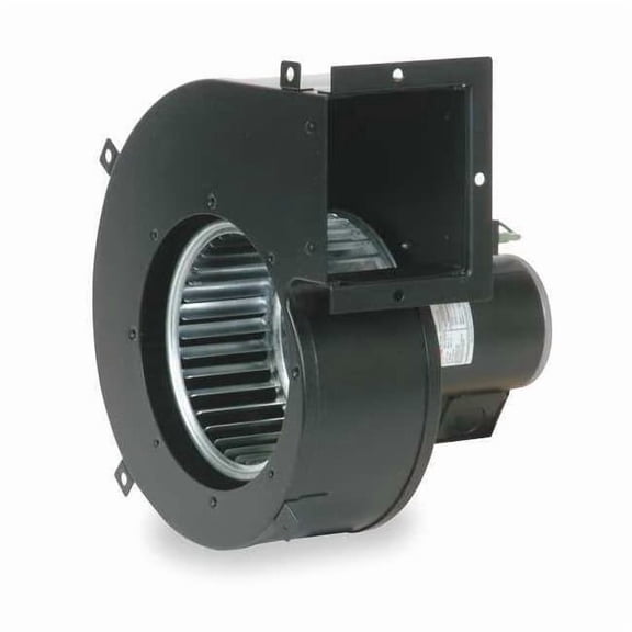 Dayton Blower,70 cfm,115V,0.30A,3040 rpm 1TDU9