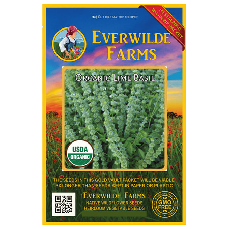 France Lime Basil - Everwilde Farms - 1000 Organic Lime Basil Herb Seeds - Gold Vault Jumbo Bulk Seed Packet