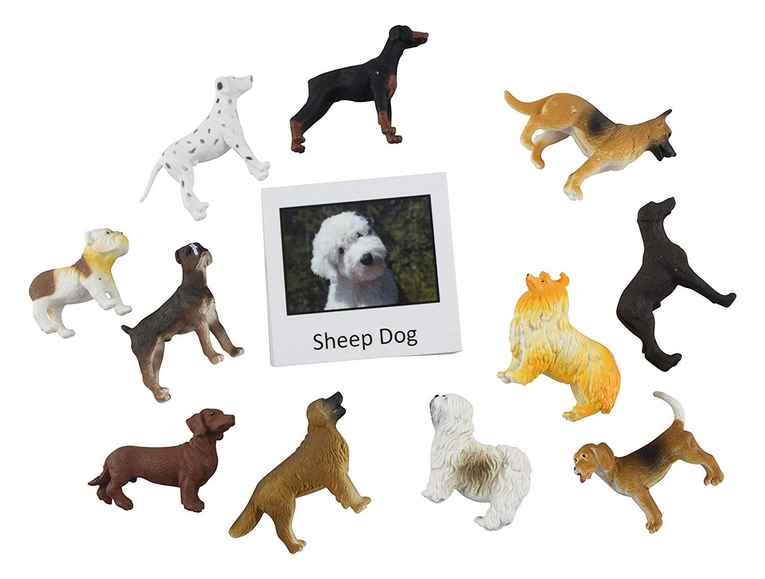 Bergsma Gallery Press :: Products :: Mailable Mini's :: Pets & Zoo Animals  :: Dogs / It's A Doggy Dog World - Mailable Mini