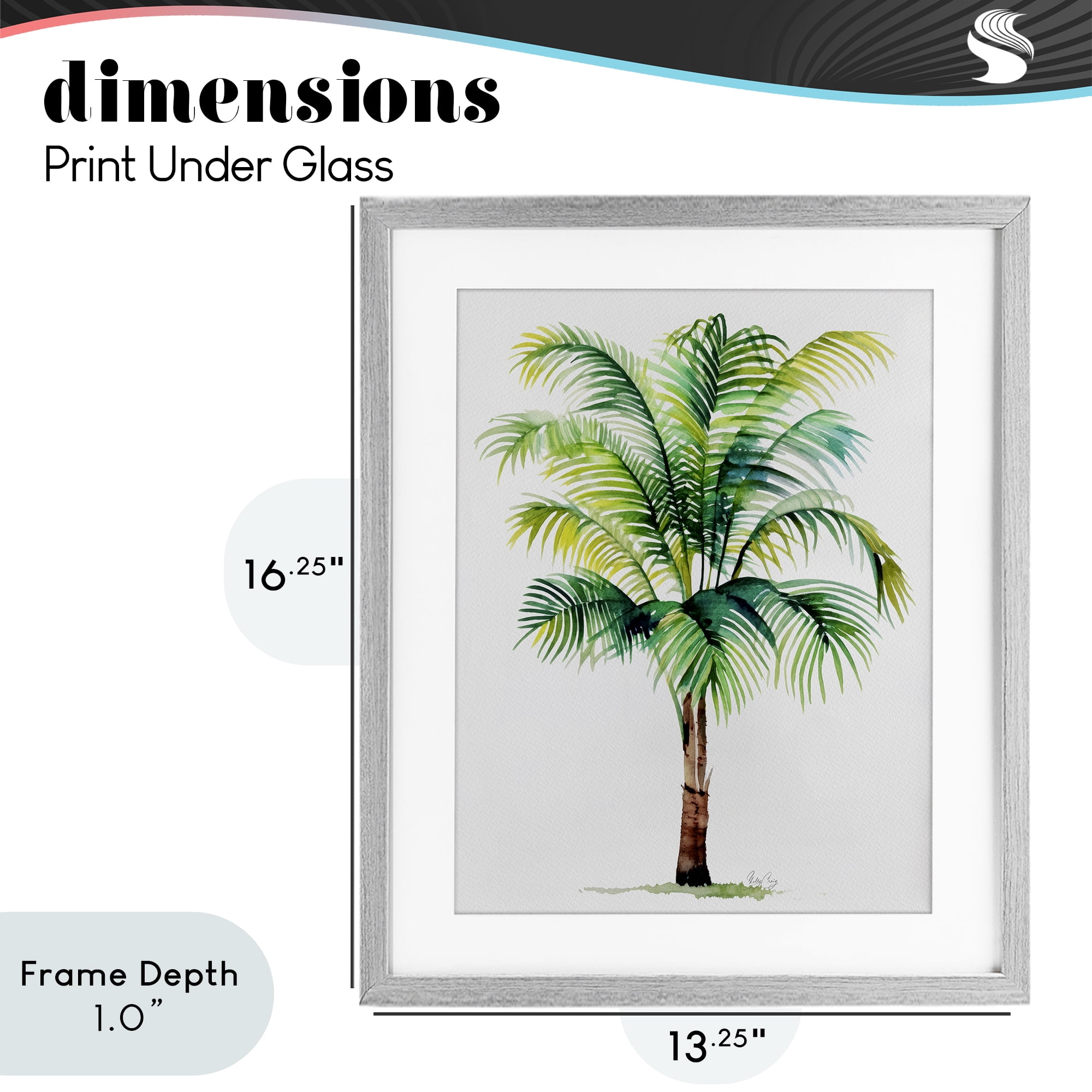 Stupell Industries Breezy Fronds Palm Gray Framed Print Under Glass, design by Shelly Craig