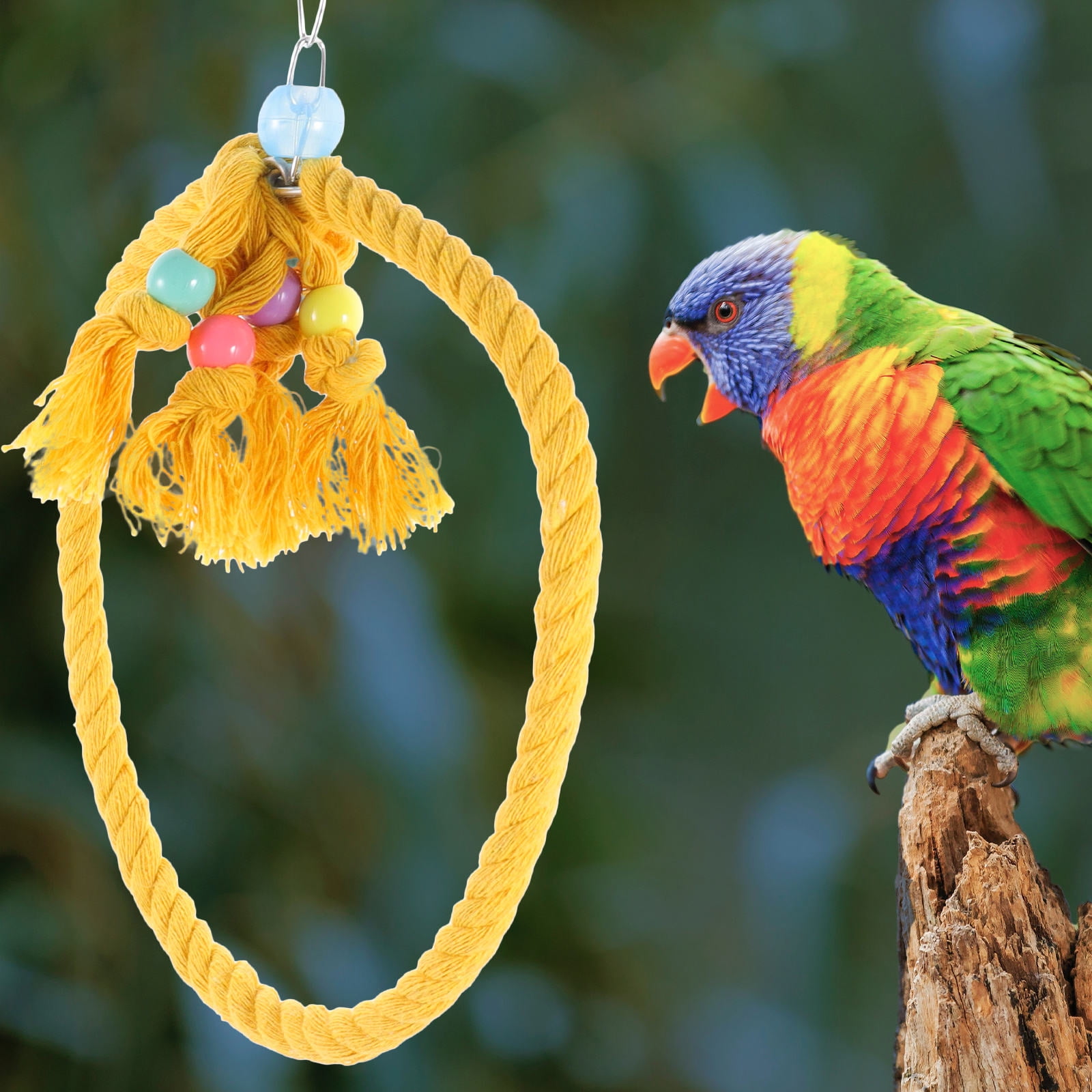LOLIPPYY Yellow Bird Swing with Strong Rope Perch for Parakeets, Parrots, and Small Birds