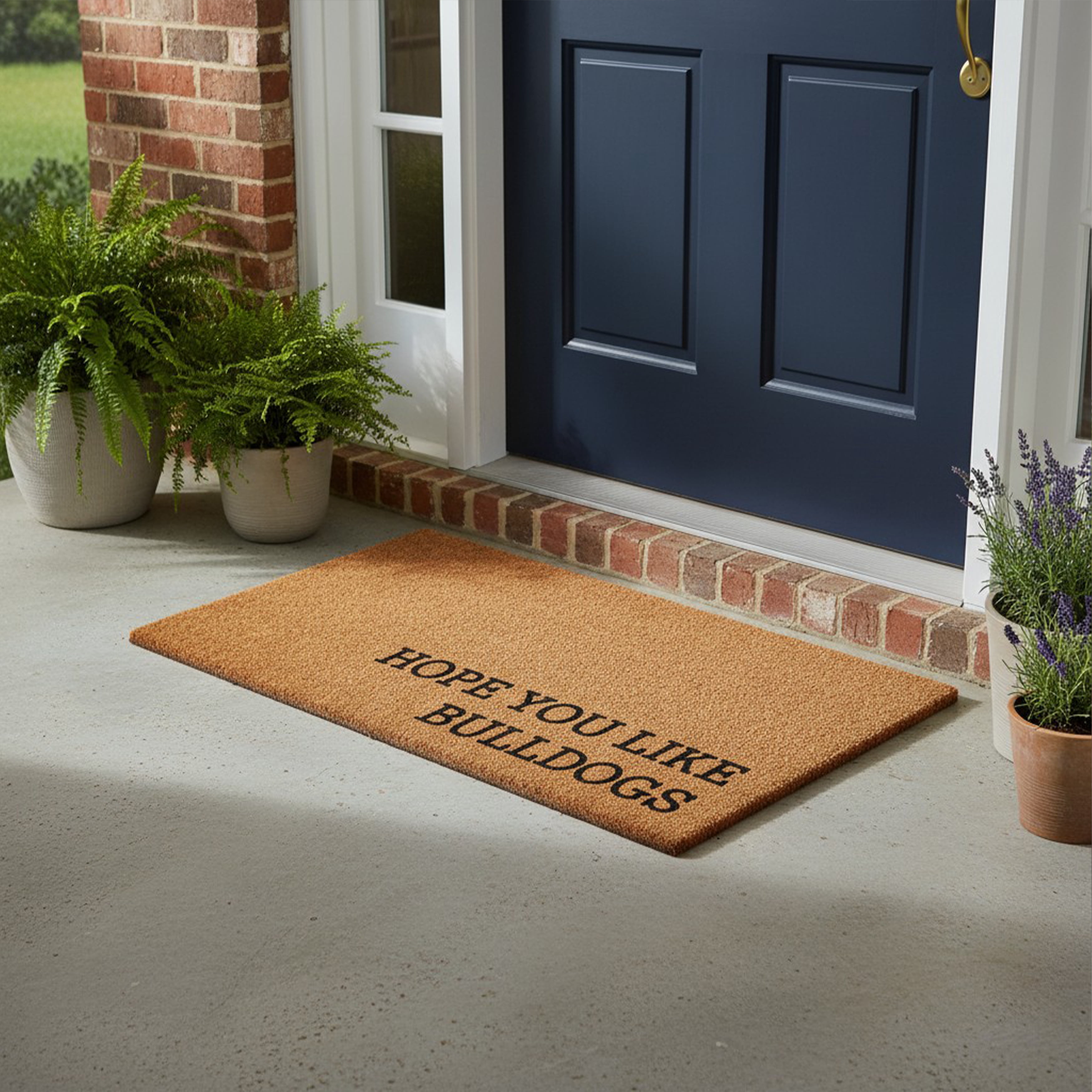 Hope You Like Bull Dogs Non Slip Vinyl Backing, Front Door Mat, Entryway Door Mat, 24"x36"