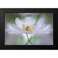 thumbnail image 2 of Disher, Mandy 18x13 Black Modern Framed Museum Art Print Titled - Nemorosa Nirvana, 2 of 5