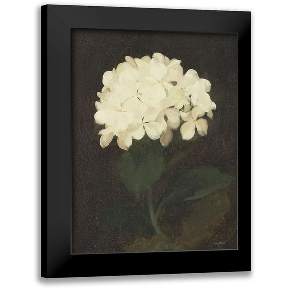 Lettered And Lined 12x14 Black Modern Framed Museum Art Print Titled - Vintage White Hydrangea
