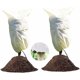 thumbnail image 1 of 2 Pack Winter Plant Cover, 100 x 80cm, Reusable Plant Protection, Compatible with Outdoor Plants, 1 of 5