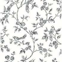 Advantage Ray Black Bird Trail Unpasted Non Woven Wallpaper, 20.5-in by 33-ft, 56.4 sq. ft.