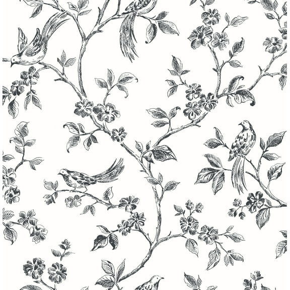 Advantage Ray Black Bird Trail Unpasted Non Woven Wallpaper, 20.5-in by 33-ft, 56.4 sq. ft.