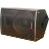 Nady J-15M 2-way Speaker, 350 W RMS
