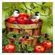 thumbnail image 1 of Cuadros Decorativos Kit de bordado completo de 11 quilates lienzo impreso pájaro manzana Animal punto de cruz chino JShteea Nuevos Originales, 1 of 8