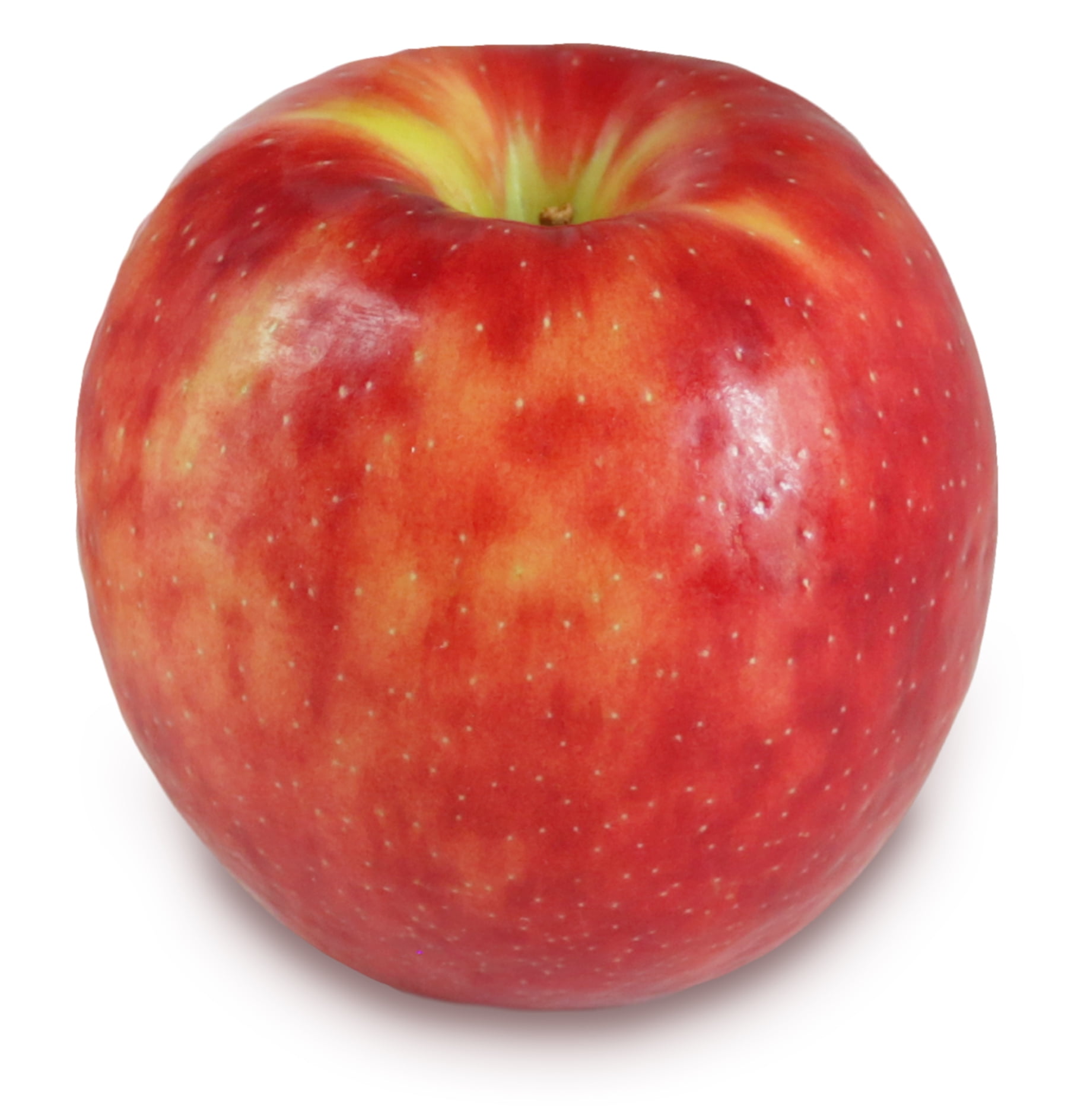 download the new for apple Bulk Image Downloader 6.27