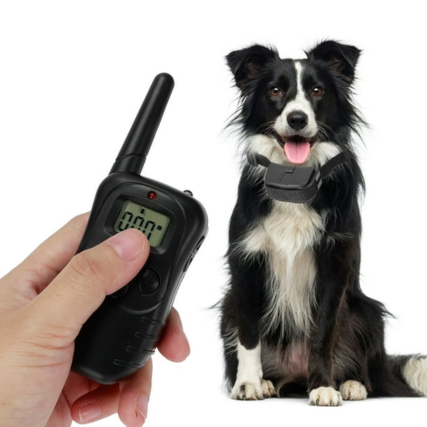 Pet trainer cheap 300m