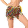 thumbnail image 1 of Sparkly Hip Bufanda Festival Ropa Vestido Lentejuelas Flecos s Mujeres Danza del vientre Danza del vientre Bufanda de cadera para, 1 of 8
