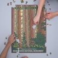 thumbnail image 3 of Muir Woods National Monument, California, Forest View (1000 Piece Puzzle, Size 19x27, Challenging Jigsaw Puzzle for Adults and Family, Made in USA), 3 of 4