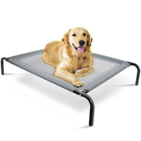elevated dog bed raised